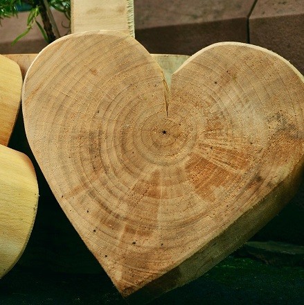 chshutters's tweet photo. All our #windowshutters are made with love for the planet using high quality woods from #sustainable sources.

For example, instead of MDF we use painted White Pine, slow grown in managed forests and easier to #recycle than other materials. https://t.co/lgk3lGMSN3