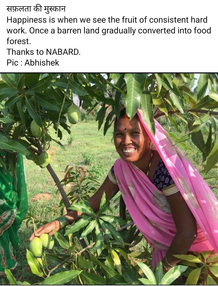 ChandanShubgp's tweet photo. जिसके हाथों में उसके मेहनत का फल होता है,उसकी मुस्कुराहट लाजवाब होती है। https://t.co/Q6fem300Pz