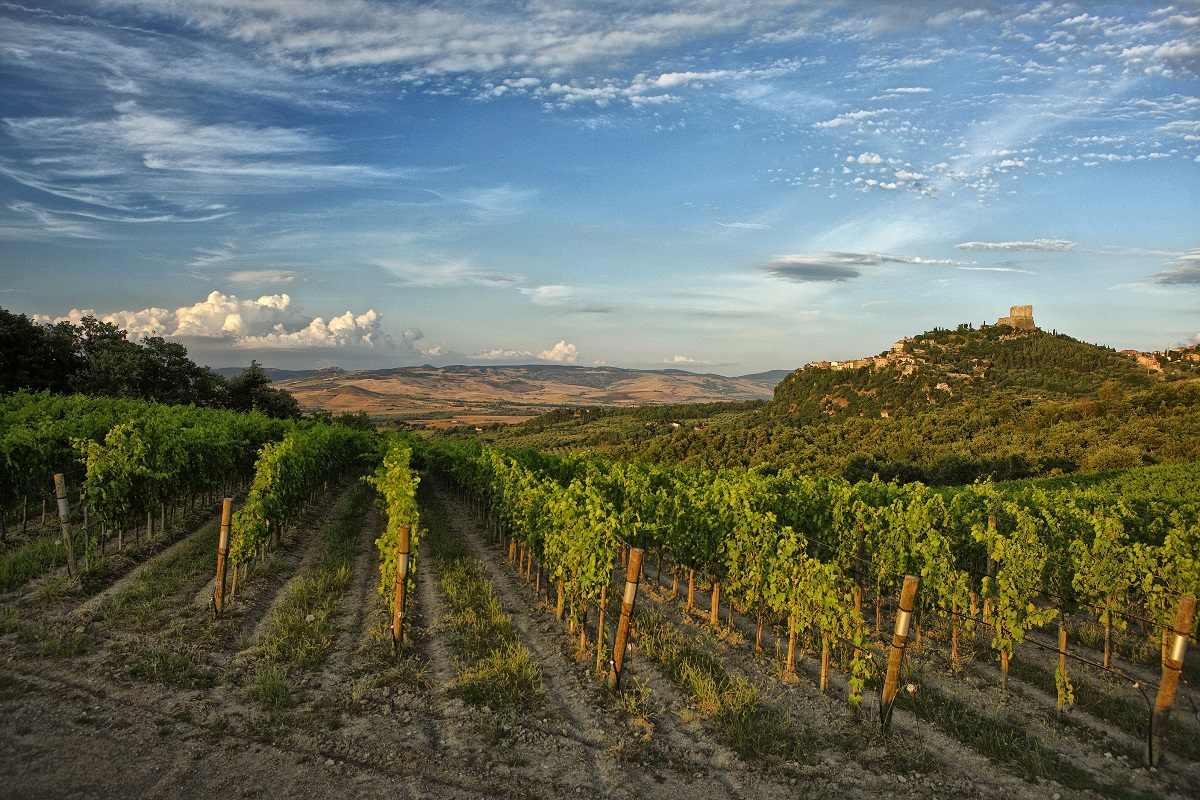 WinetvGroup's tweet photo. Sarà Giulitta Zamperini a guidare per i prossimi tre anni il Consorzio del Vino Orcia 
@orciadoc #orciadoc #wine #vinoitaliano #sommelier #winelovers 

 Info: https://t.co/5r0mq1gNc3 https://t.co/bovdG87rIH