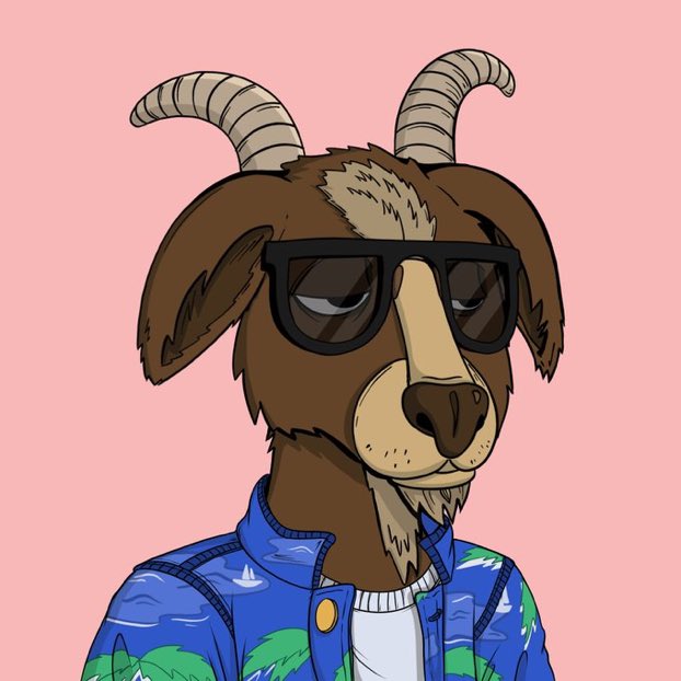 Tenko {555} 🧬 tweet media