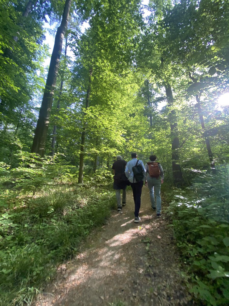 The wood path to EMBL for  #EESMechanobiology…