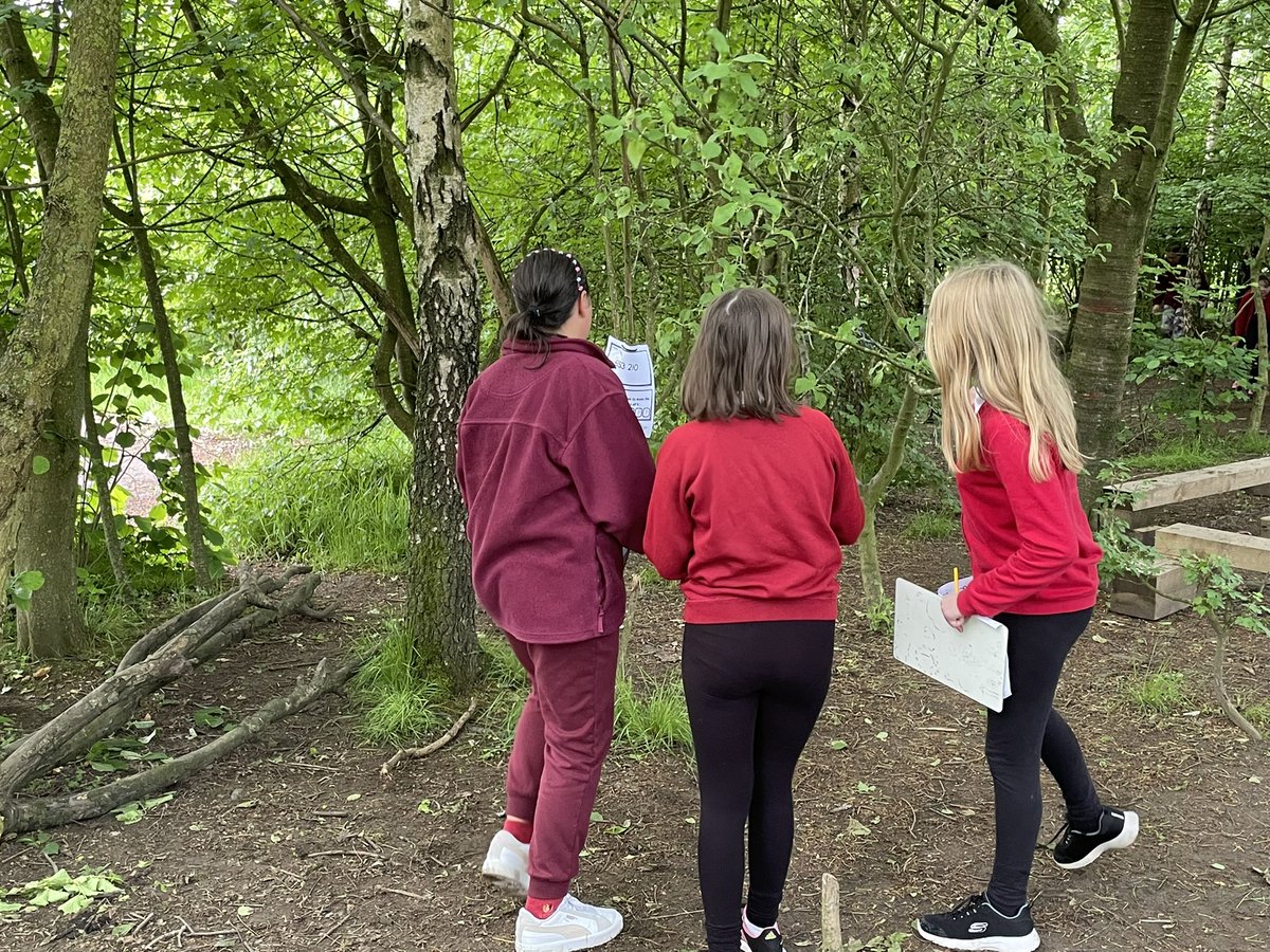 OldParkPrimary's tweet photo. Year 6 are completing a scavenger hunt in maths, working on their place value knowledge. How quickly can they complete it? @TelfordWrekin @NatureFSchools #SurvivalWeek https://t.co/7sP8AotB62