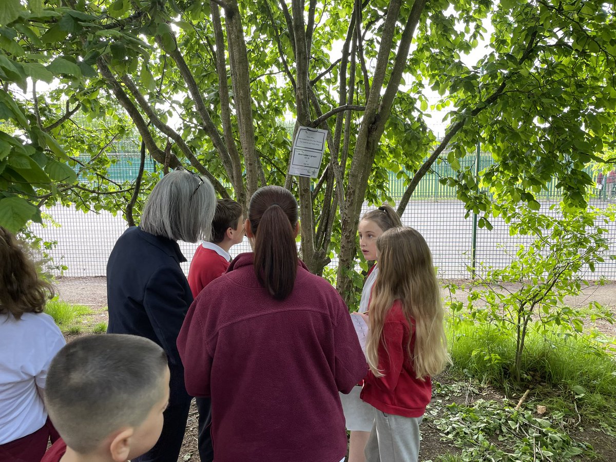 OldParkPrimary's tweet photo. Year 6 are completing a scavenger hunt in maths, working on their place value knowledge. How quickly can they complete it? @TelfordWrekin @NatureFSchools #SurvivalWeek https://t.co/7sP8AotB62