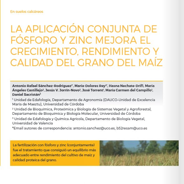 🌽La fertilización conjunta con fósforo y zinc fue el tratamiento que consiguió un equilibrio más
adecuado entre rendimiento del cultivo de maíz y
calidad proteica del grano.

📖Pags 28-29

En @TierrasDigital 👉 interempresas.net/Flipbooks/TE/3…