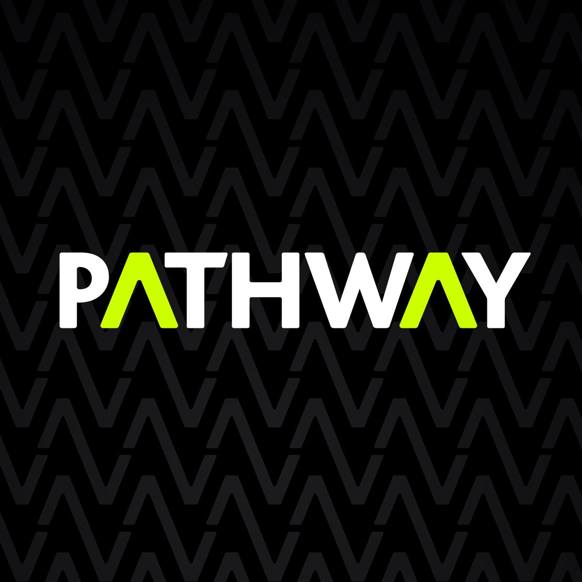 P+M Pathway tweet media