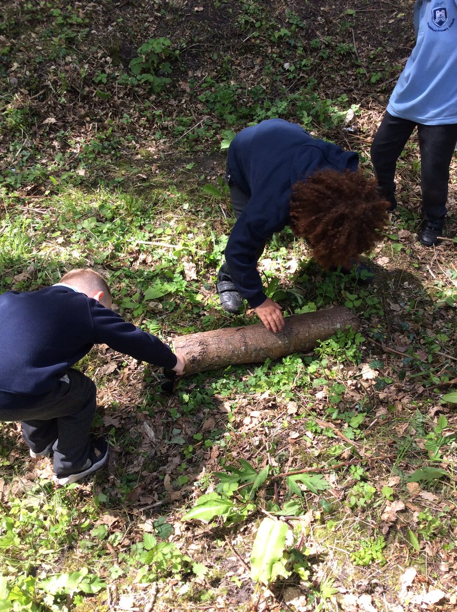 Year 1 made use of our newly improved outdoor area! Identifying and naming trees, investigates leaves, bark, blossom and roots and counted the tree rings to see how old they were! They even found a fairy door hidden! #outdoorenvironment #highachievement