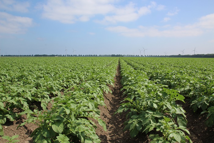 BayerCropNL's tweet photo. #SivantoPrime was al toegelaten in verschillende tuinbouwgewassen tegen een breed scala van zuigende insecten en nu is #SivantoPrime ook toegelaten in alle #aardappelteelten tegen #bladluizen en #coloradokevers. Lees hier alles over de toepassing π
https://t.co/4YnTDc42rA https://t.co/4RT6fWKKdL