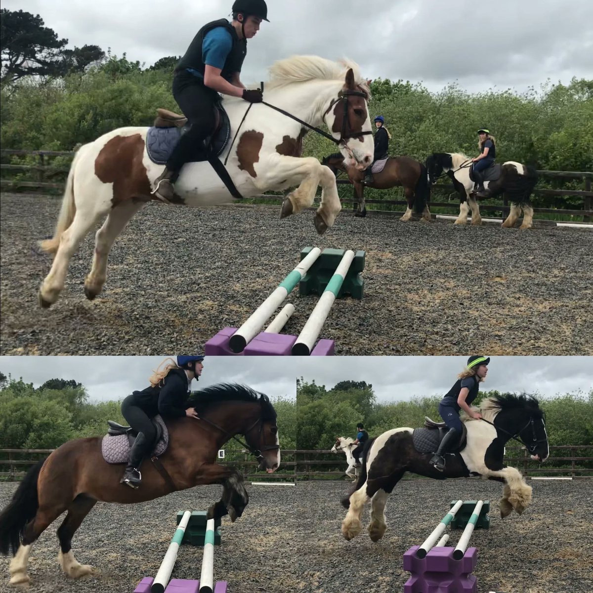 ClyneFarmCentre's tweet photo. AIR TIME ✈️
Bert, Ferne and Warrior were giving our riders some lessons in flying when jumping last week!
#Jumping #FlyingLesson #AirTime https://t.co/Wzyvv5kZDZ