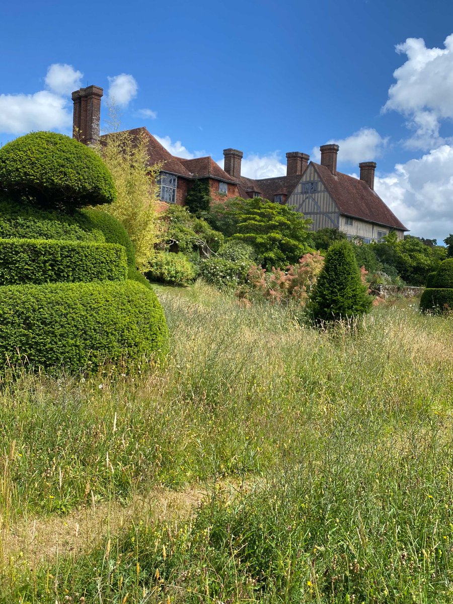 Naomi Schillinger tweet media