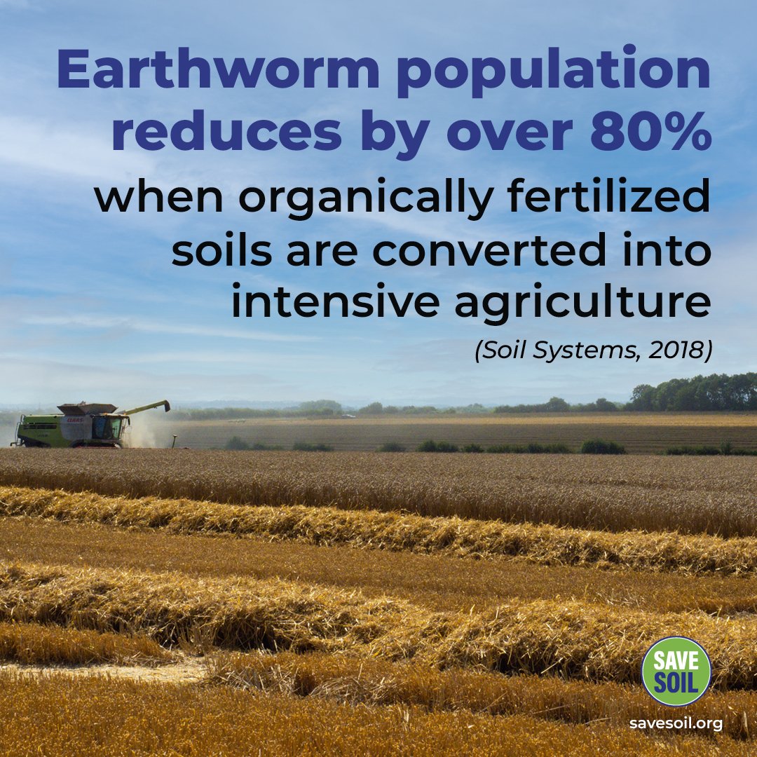 consciousansh's tweet photo. Earthworm population reduces by over 80% when organically fertilized soils are converted into intensive agriculture. (Soil Systems, 2018) #SaveSoil https://t.co/ead0qP4z22
@SadhguruJV @narendramodi @cpsavesoil @usda_nass https://t.co/PdJHBNM7pe