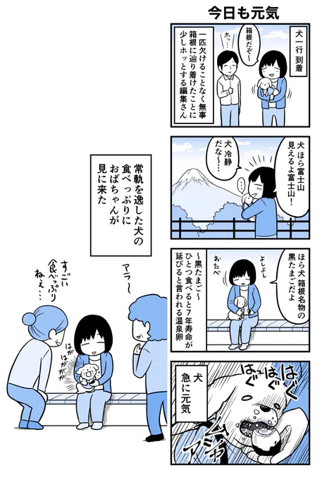 犬と箱根に行った話♨️その2

犬も旅行は楽しかった様子☺️ 