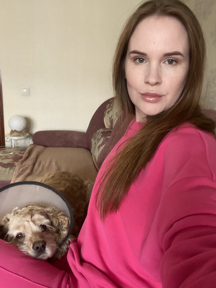 metasamo's tweet photo. Жду психолога. Лежание собаки на коленях входит в стоимость консультации. https://t.co/BZOZbAr20X
