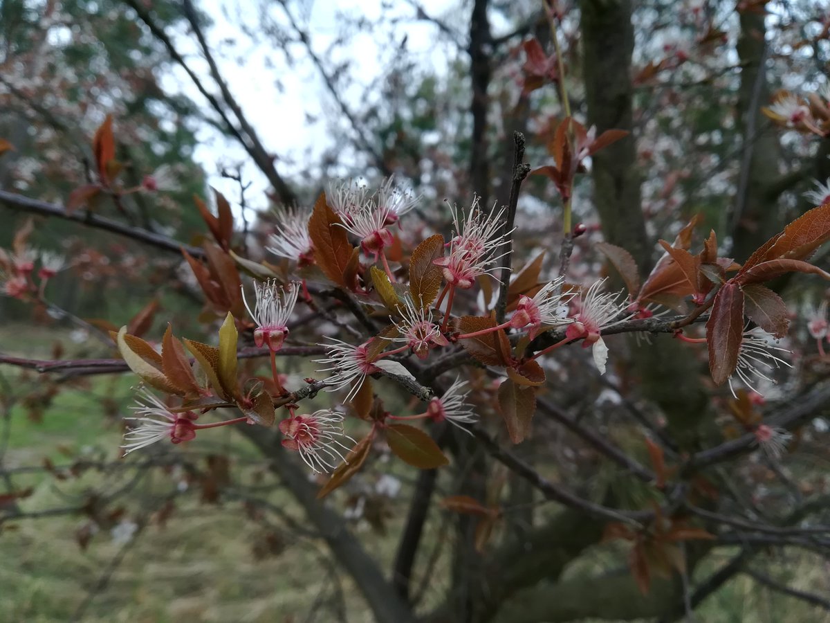 TheMessMess's tweet image. 