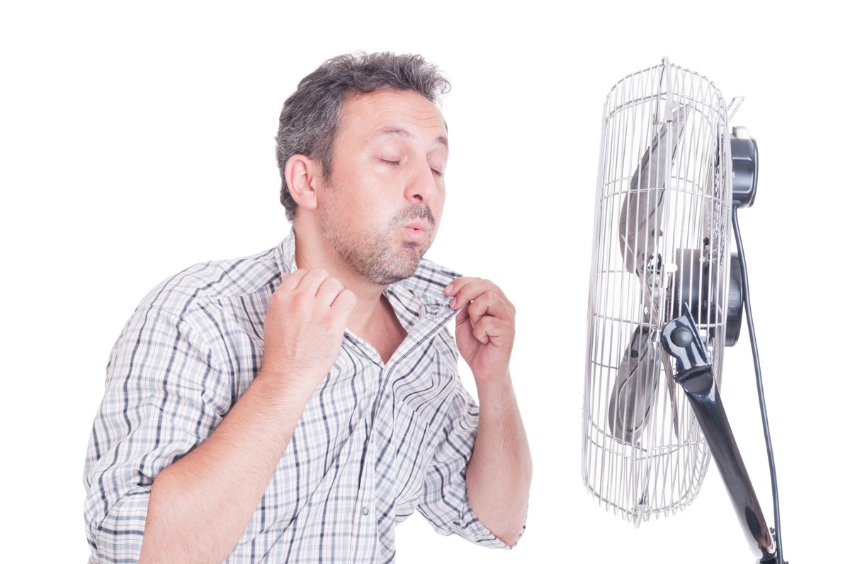 Ebuyer's tweet photo. Feeling hot? 🥵
Don't worry, we've got your back 👍
Shop our range of fans available at Ebuyer 👉 https://t.co/Sg5BcDEVMg
#Fans #CoolingSystems #DeskFans #StandingFans https://t.co/Whr3I1uZl5