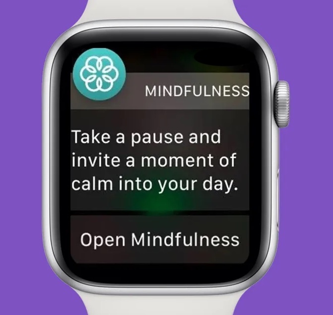 Jæja Siri, segðu mér að þú hafir aldrei dröslað þremur litlum börnum út úr húsi á morgnanna án þess að segja mér að þú hafir aldrei dröslað þremur litlum börnum út úr húsi á morgnanna.