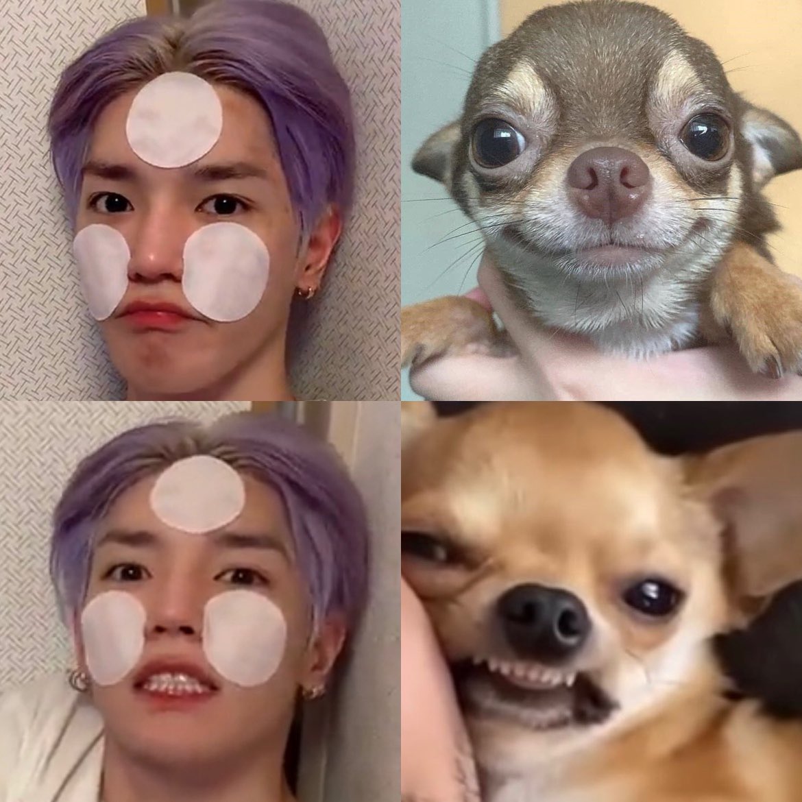 𝑰𝒃𝒆𝒃𝑼 🐾 tweet media