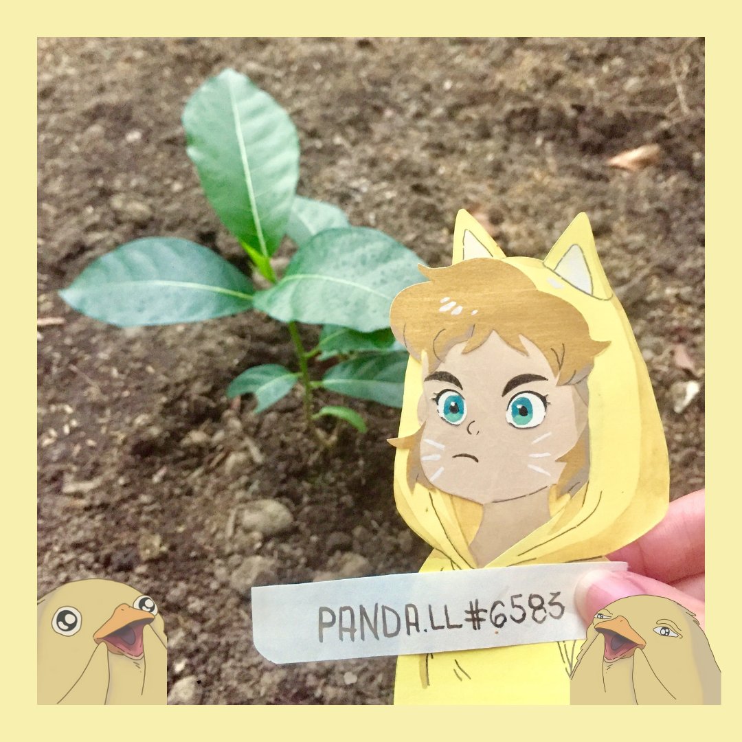 Always do your best. What you plant now, will harvest later.✨
#treeplanting
#IsekaiQuests