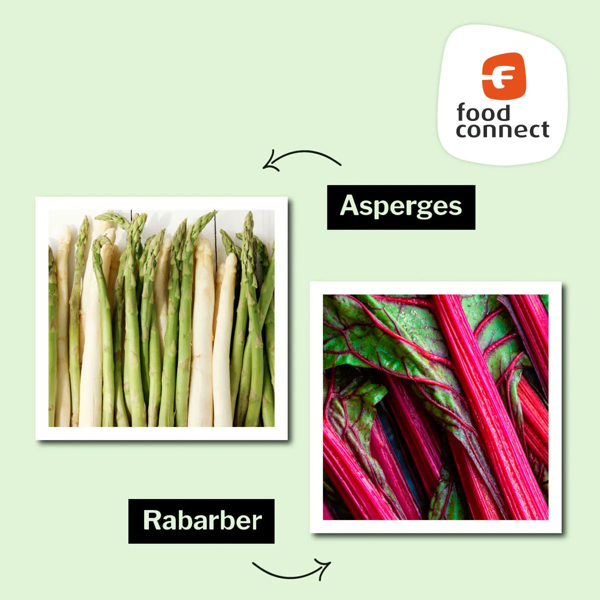 De lente is hét seizoen voor asperges en rabarber. Deze twee veelzijdige seizoensingrediënten zijn niet alleen afzonderlijk van elkaar om van te smullen maar ook heerlijk om gezamenlijk in een gerecht te verwerken. Waar houdt u het meest van? Asperges 👈 of rabarber 👉?