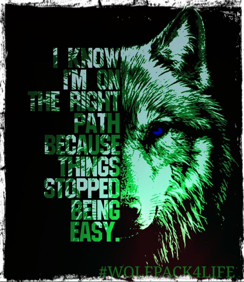 Bardo_Young's tweet photo. Saitama family just remember this for yourself. 
#WOLFPACK4LIFE 🐺
#V2TOTHEMOONSEEYOUSOON 🌕
#OneDollarDream $1 https://t.co/dP8DNjSXQD