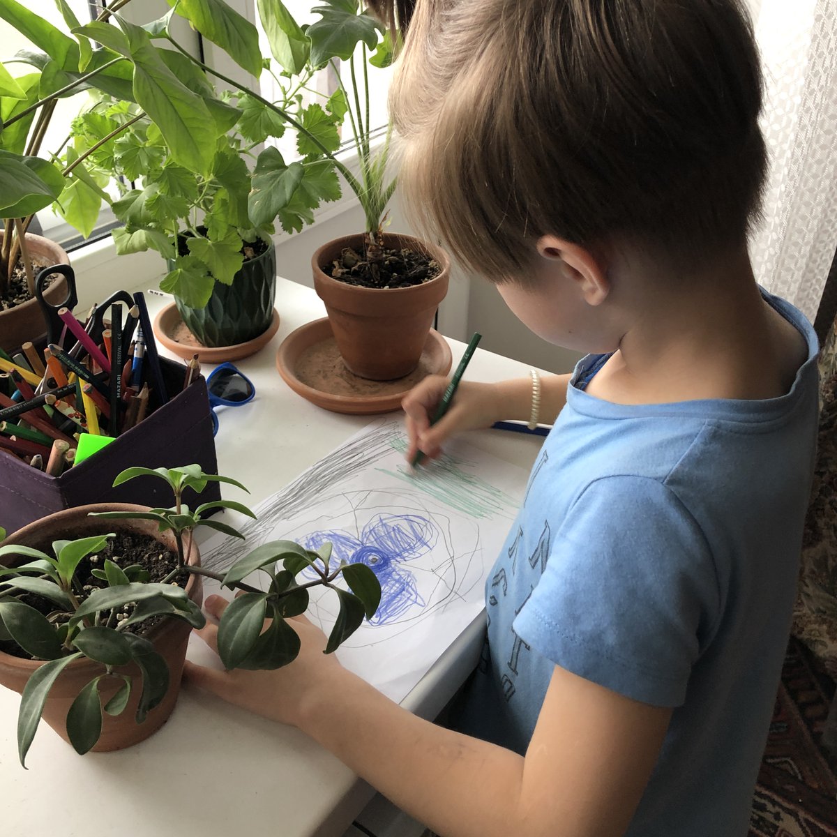 I am glad to present you our joint NFT art with my son. In named My Child's Dreams. This collection of unique 1/1 art was handdrawn by my son according to his own wishes, and it sincerely reflects the child's vision of the world around him.