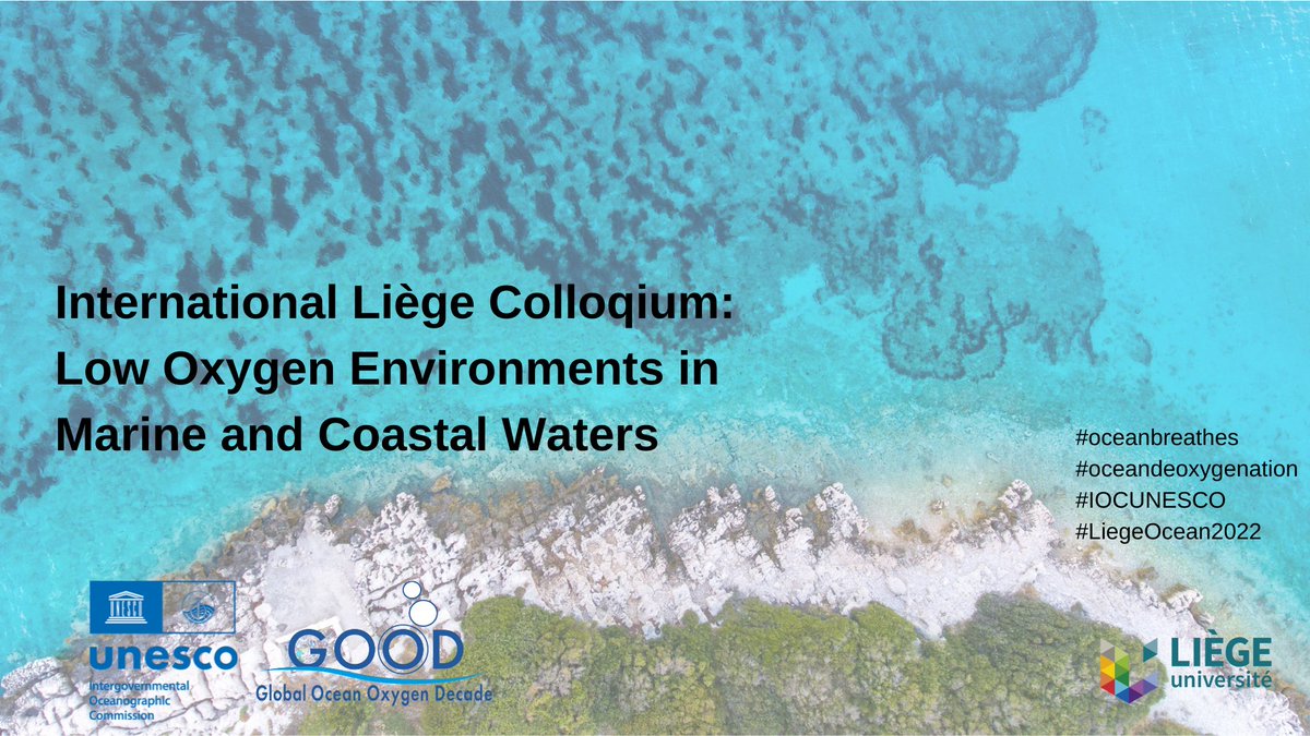 Sarah Wolf tweet media