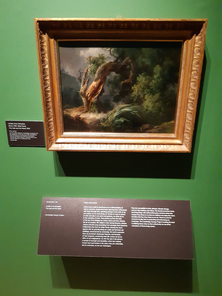 CamCanopyProj's tweet photo. It was such a pleasure to attend the private view of the #TrueToNature exhibition at the @FitzMuseum_UK last night. And even more so to see our small contribution to the #Trees section, adding our voice to this wonderful collection.

Watch this space for more collaboration! https://t.co/zec55kOzTQ