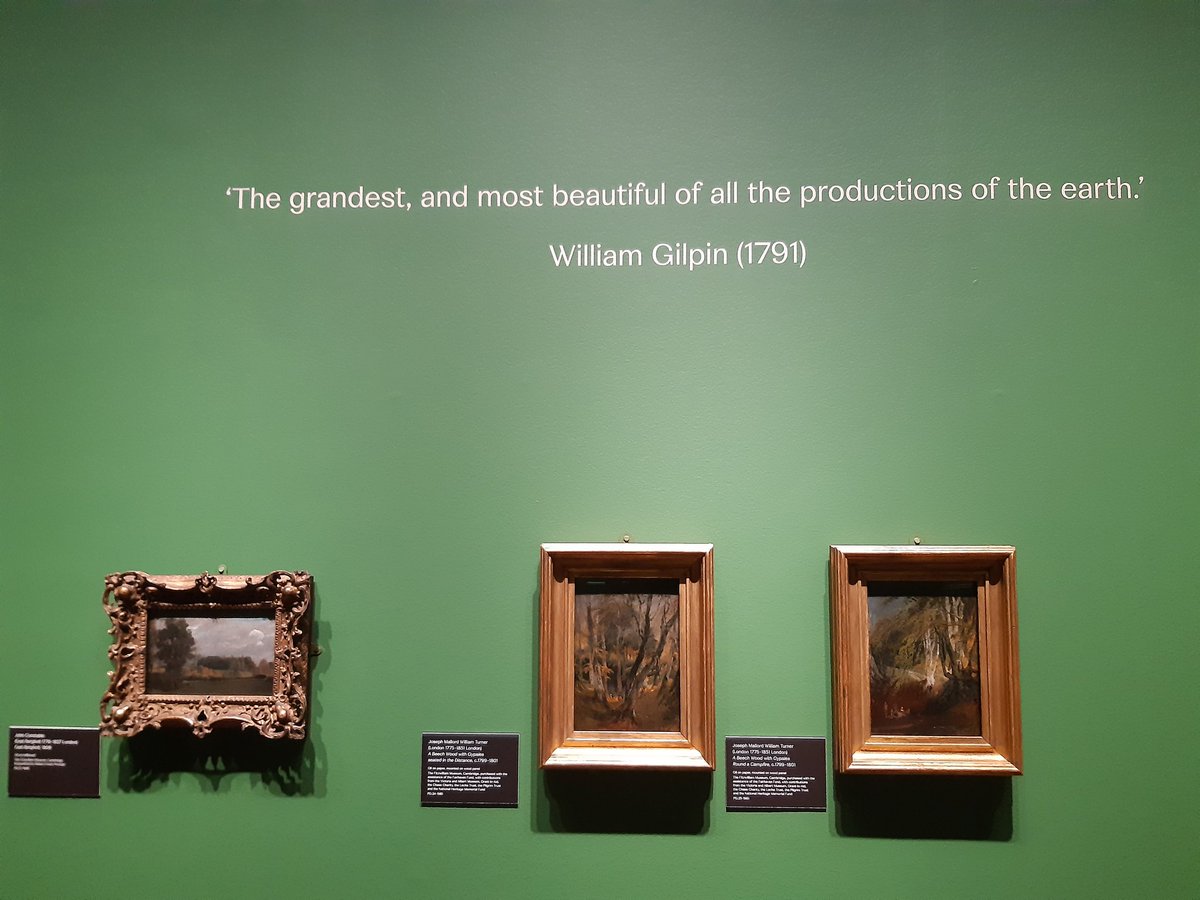 CamCanopyProj's tweet photo. It was such a pleasure to attend the private view of the #TrueToNature exhibition at the @FitzMuseum_UK last night. And even more so to see our small contribution to the #Trees section, adding our voice to this wonderful collection.

Watch this space for more collaboration! https://t.co/zec55kOzTQ