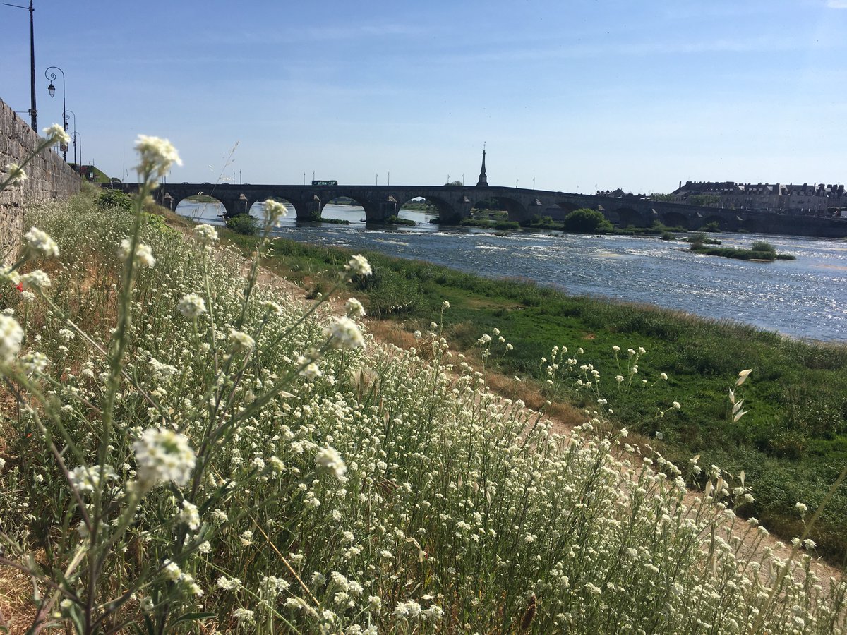 craigs_simon's tweet photo. Photo challenge at Blois #Loire2022 @IntSchBrussels @ISB_MS https://t.co/7XDhrKnO3k