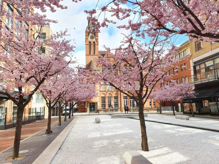 RJonTourUK's tweet image. Birmingham in England is the host of the Commonwealth Games this year. But what else is there to see and do when visiting #Birmingham?
rjontour.com/birmingham/ #brumhour #cwg2022