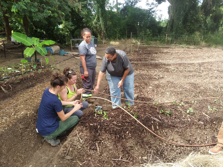 Notre #coopération technique se poursuit en #NouvelleCalédonie :

Échange avec les porteurs de projets sur une parcelle de maraîchage bio au Centre de Formation Professionnel et Promotion Agricole #CFPPA Sud à Port-Laguerre

#SOCIEUX+ #DFPC NC #emploisverts #agroécologie