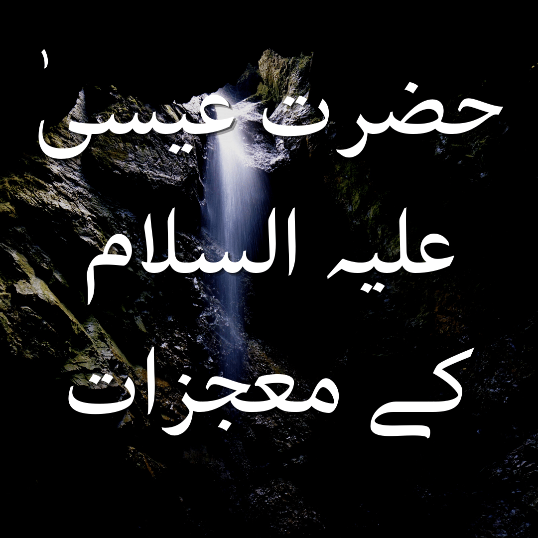 qurankiawaz's tweet photo. (03:48-49)
#Quran #lslam #Muslim #QurankiAwaz #lslamicpost #Allah #AyatoftheDay https://t.co/B5BSvMwENE