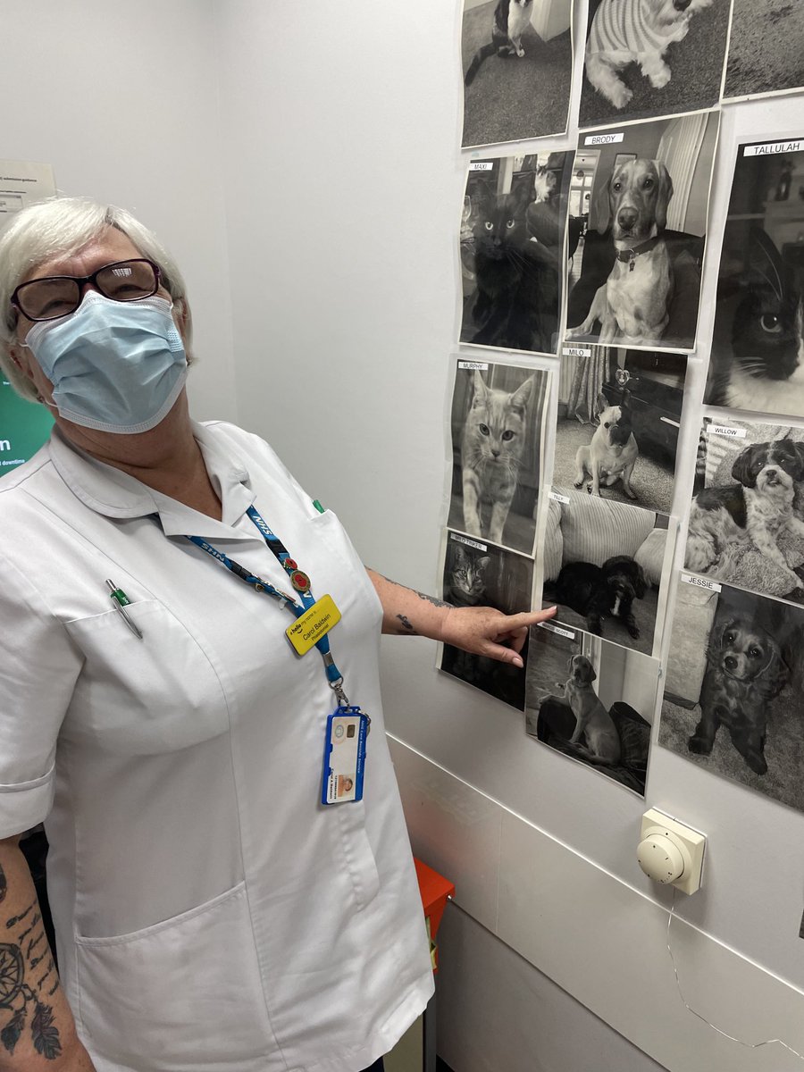 CaPP3's tweet photo. Routine blood tests today - (thanks for using a sharp needle Tom) and Carol has added Tilly to the wall of fame! https://t.co/VIdj2tDjgA
