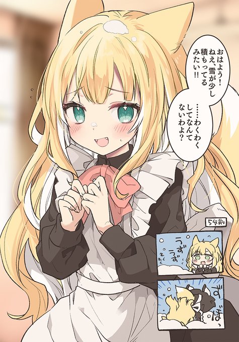 寒いから雪が降るくらいあるかもしれん 