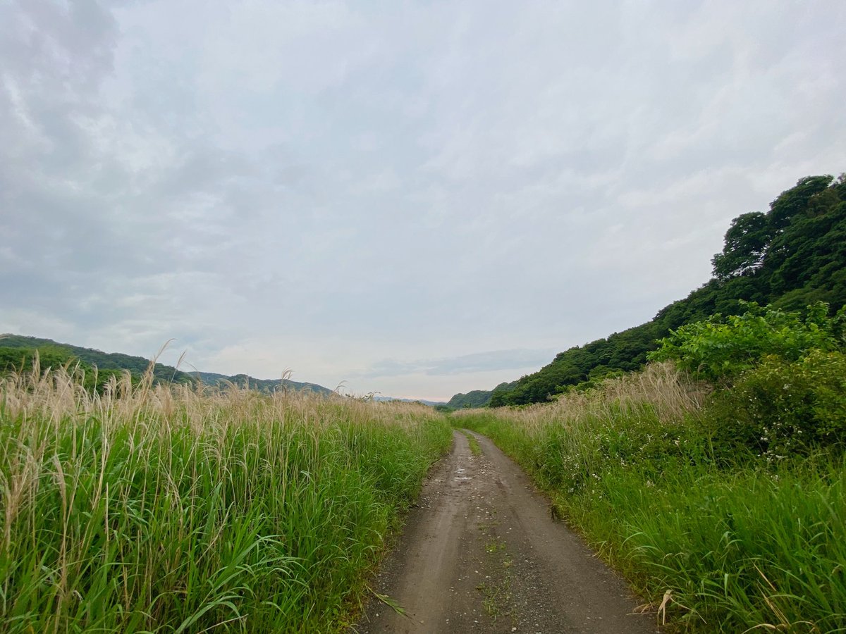 e_sagamihara's tweet photo. 曇りの日も、ロケーションは良き。

相模原は市街地側にも素敵スポットあり〼。

#相模原市  
#お出かけ 
#お写んぽ
#nicelocation
#e_sagamihara https://t.co/com4hTjChv