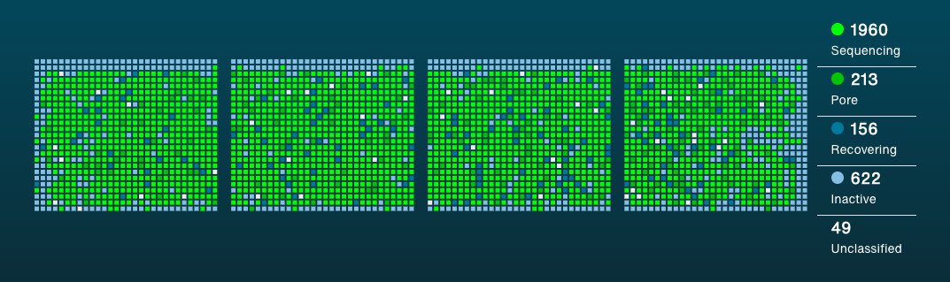 Matt Loose tweet media