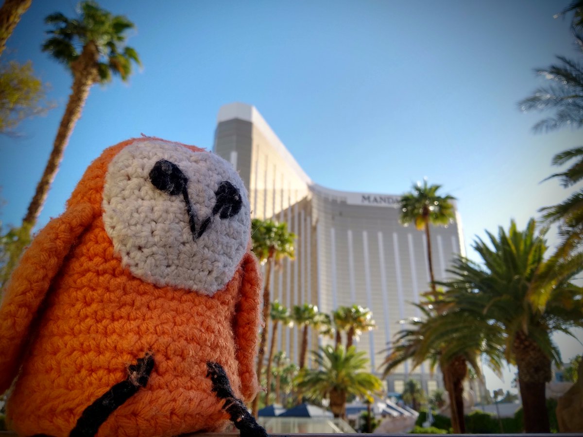 reelyActive's tweet photo. The owl has landed...
...in #LasVegas!
We just flew in to our first in-person conference since March 2020, to give the opening tutorial, #RFID as #AmbientData, at #IEEERFID and will also participate in co-hosted #RFIDLive. #GreatToBeBack!
https://t.co/5MY7hw9W4b https://t.co/fscckJc8fI