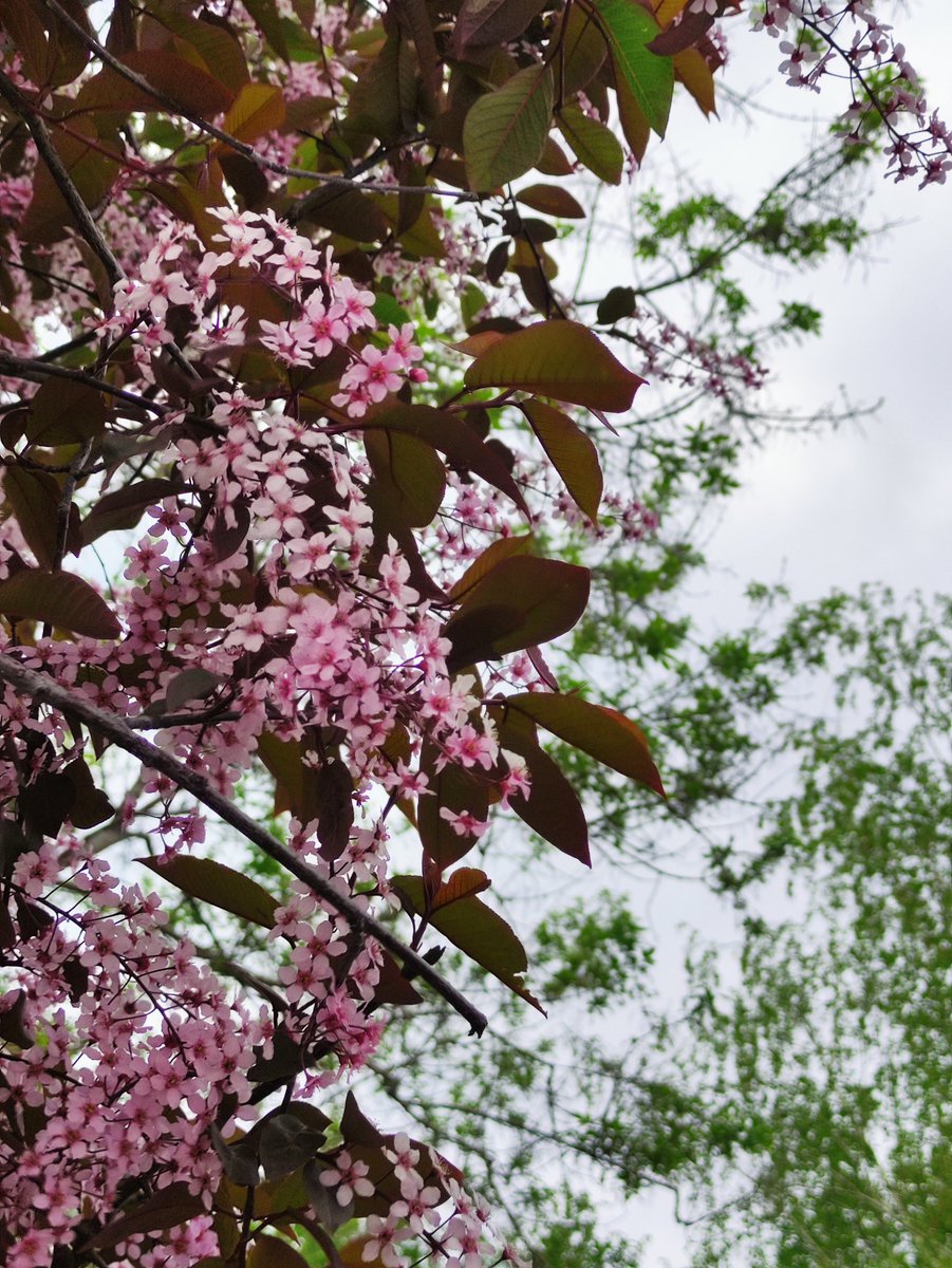 chiffrygaming's tweet image. #IRL #photo #PocoX3 #TheCapturedCollective