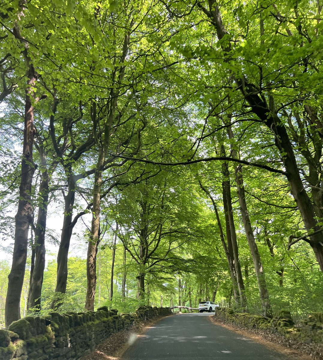 SIRKnighty tweet media