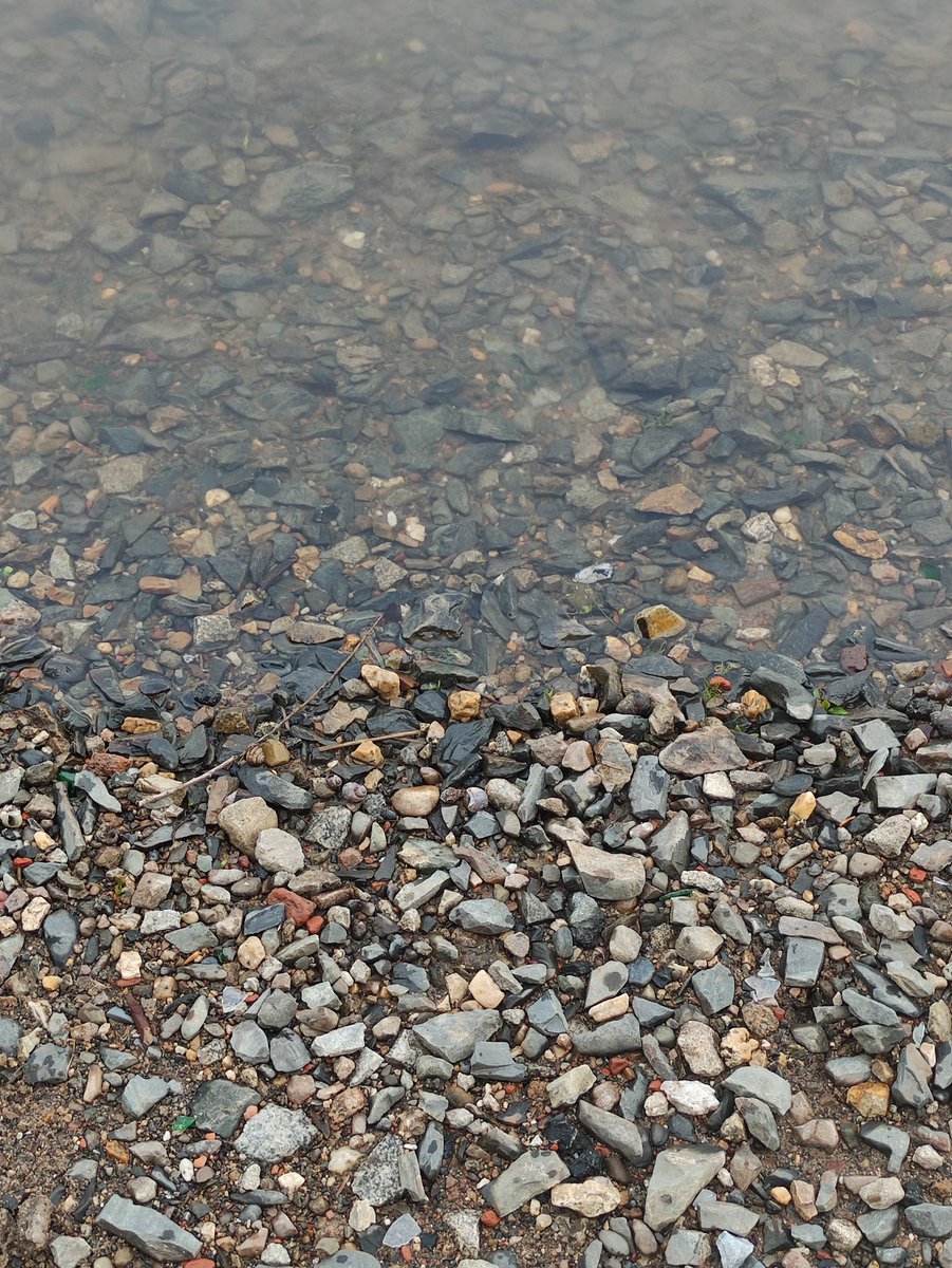 chiffrygaming's tweet image. #IRL #photo #PocoX3 #TheCapturedCollective