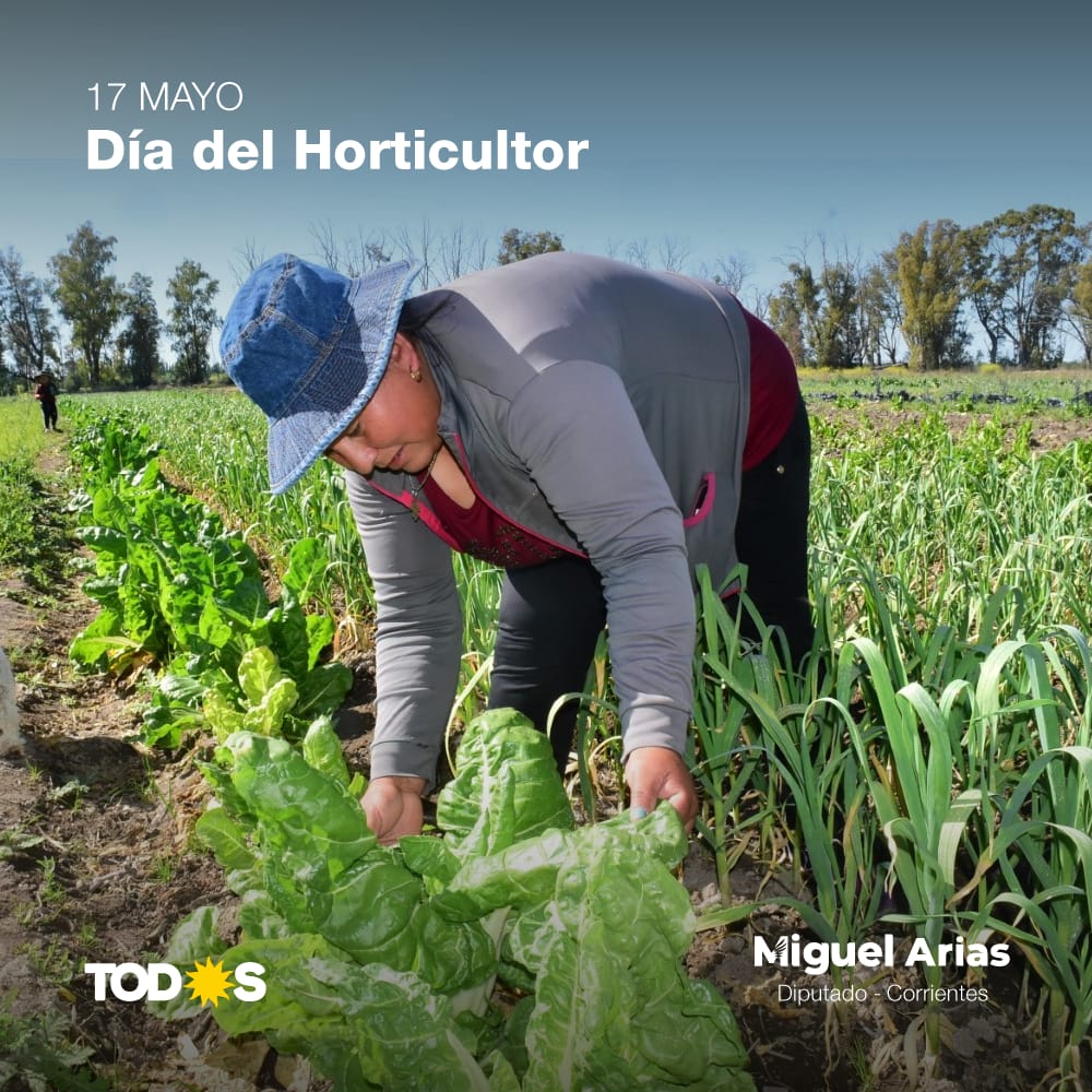 miguelarias456's tweet photo. 🫑 Saludamos hoy a todas las familias correntinas que trabajan la tierra y producen alimentos muy importantes para nuestra nutrición. #FelizDíaDelHorticultor
#DaleCorrientes
#ArgentinaAvanza https://t.co/fiPPRrO3wV