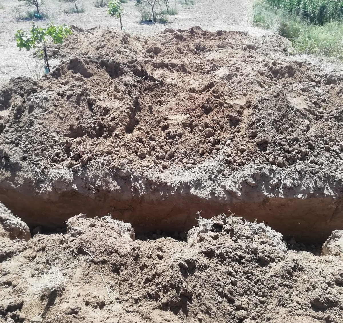 Memoria_ARMH tweet media