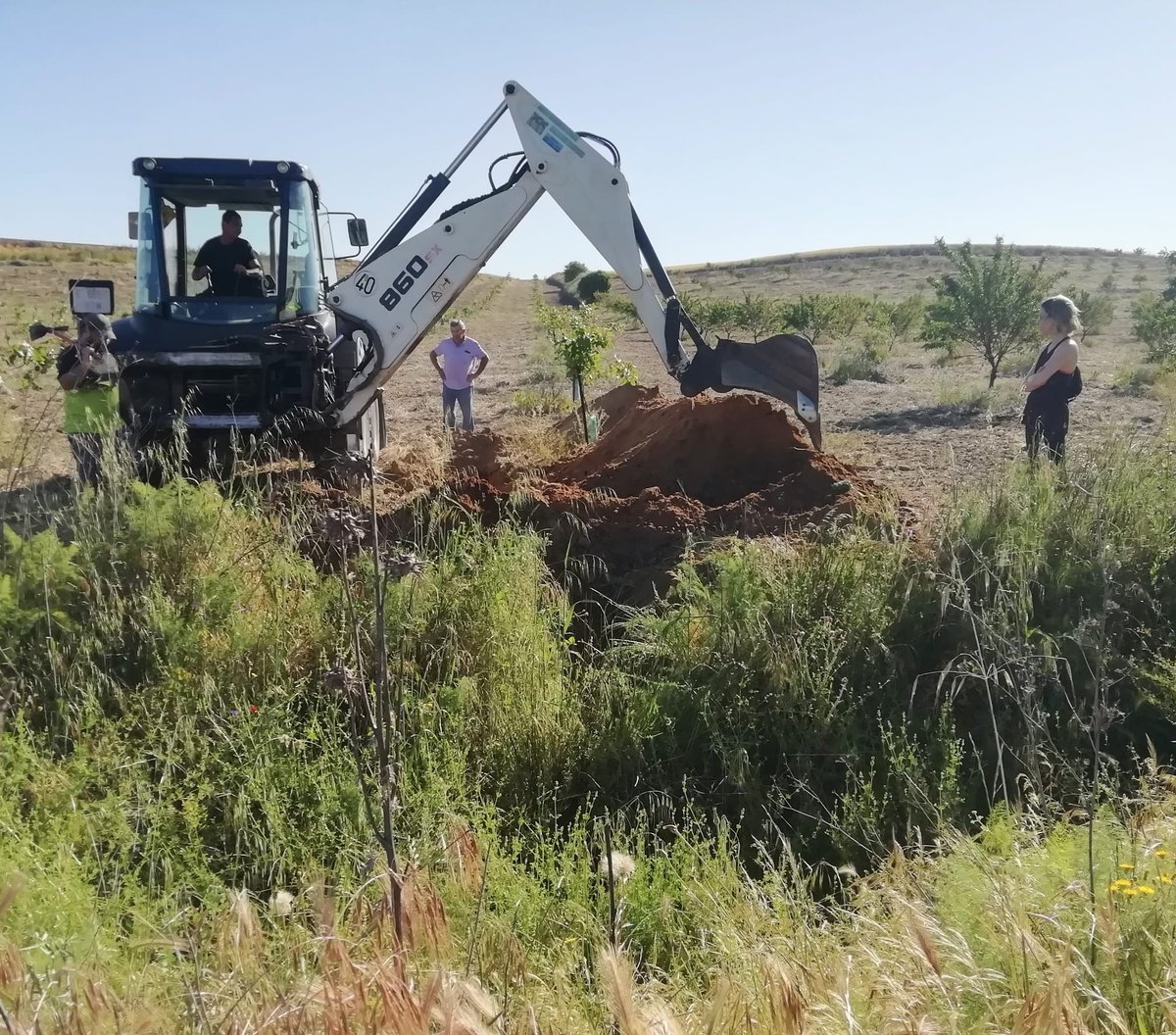 Memoria_ARMH tweet media