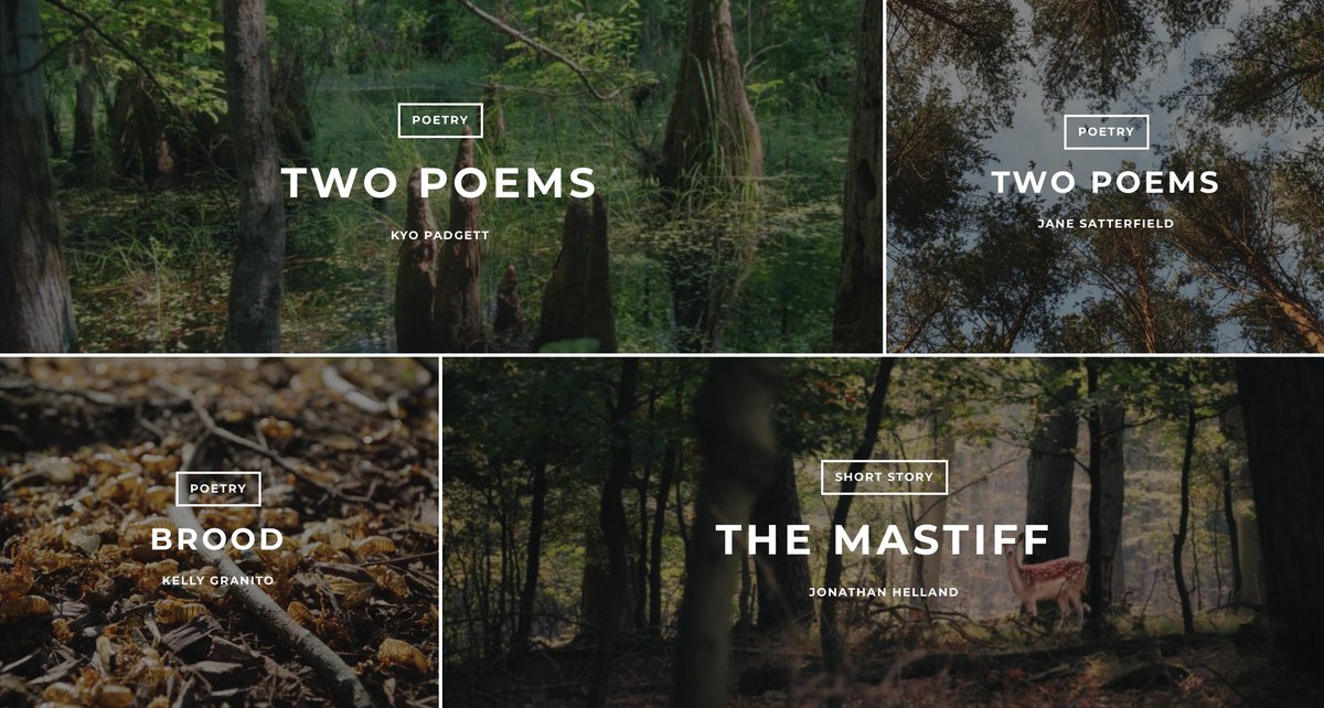 BurrowPress's tweet photo. The final installment of our special issue WHAT'S MINE OF WILDERNESS? appears today at https://t.co/WBY9bRnbdl. And don't miss our virtual reading/convo this Thursday at 7pm EST. Register at https://t.co/auctJgK3Wv https://t.co/9bBrDuUjVV