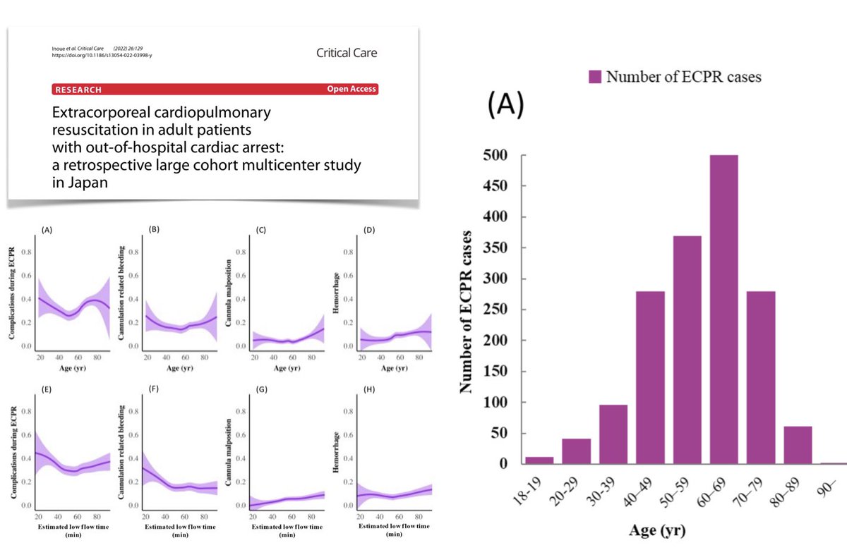 M Velia Antonini tweet media