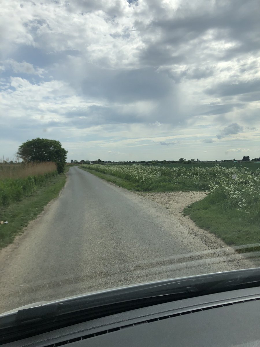 #lincolnshire country roads 🌳 

#drivingpics #countrylane #lincs #britishcountryside #spring