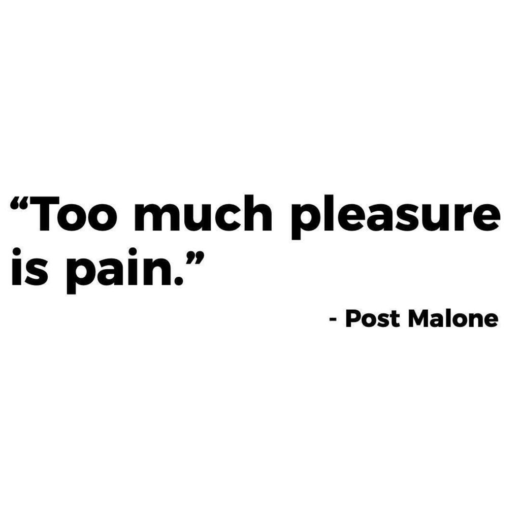 Too much pleasure is pain. #motivation