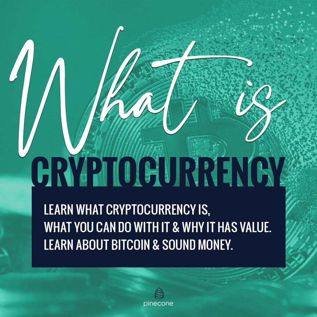 PineconeUnity's tweet photo. Earn &amp; Learn with the @PineconeUnity platform 🌲

1. Select a topic or task and start learning 📖📚 https://t.co/klOt5gU78e