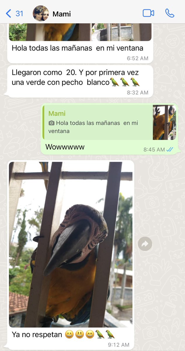 sharellydsantis's tweet photo. Y mientras tanto en Caracas. https://t.co/Vyk5HIPj22