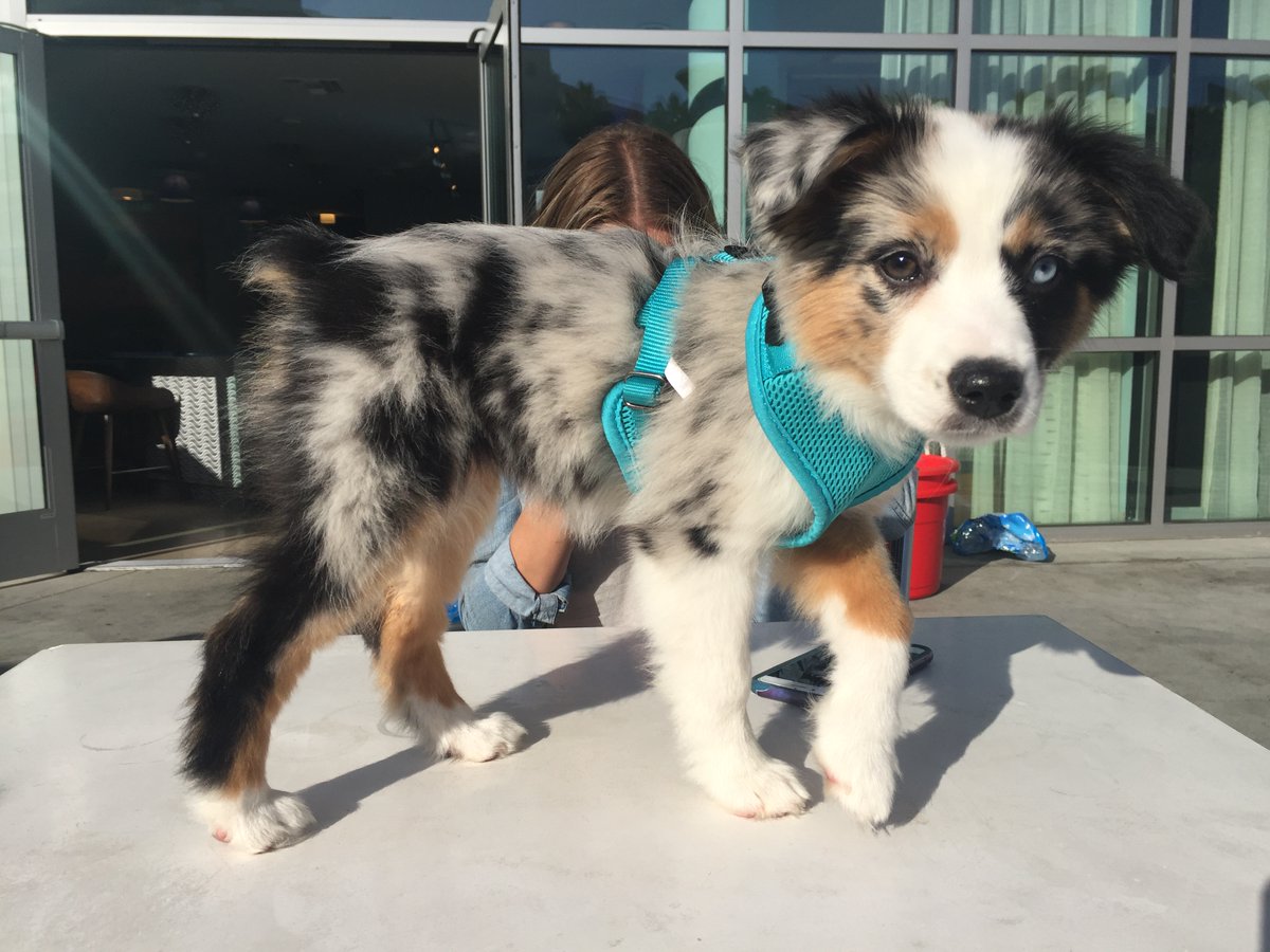 Hey, <a href="/alainakthompson/">Alaina Thompson-NTP</a>! You're like an angel with no wings!