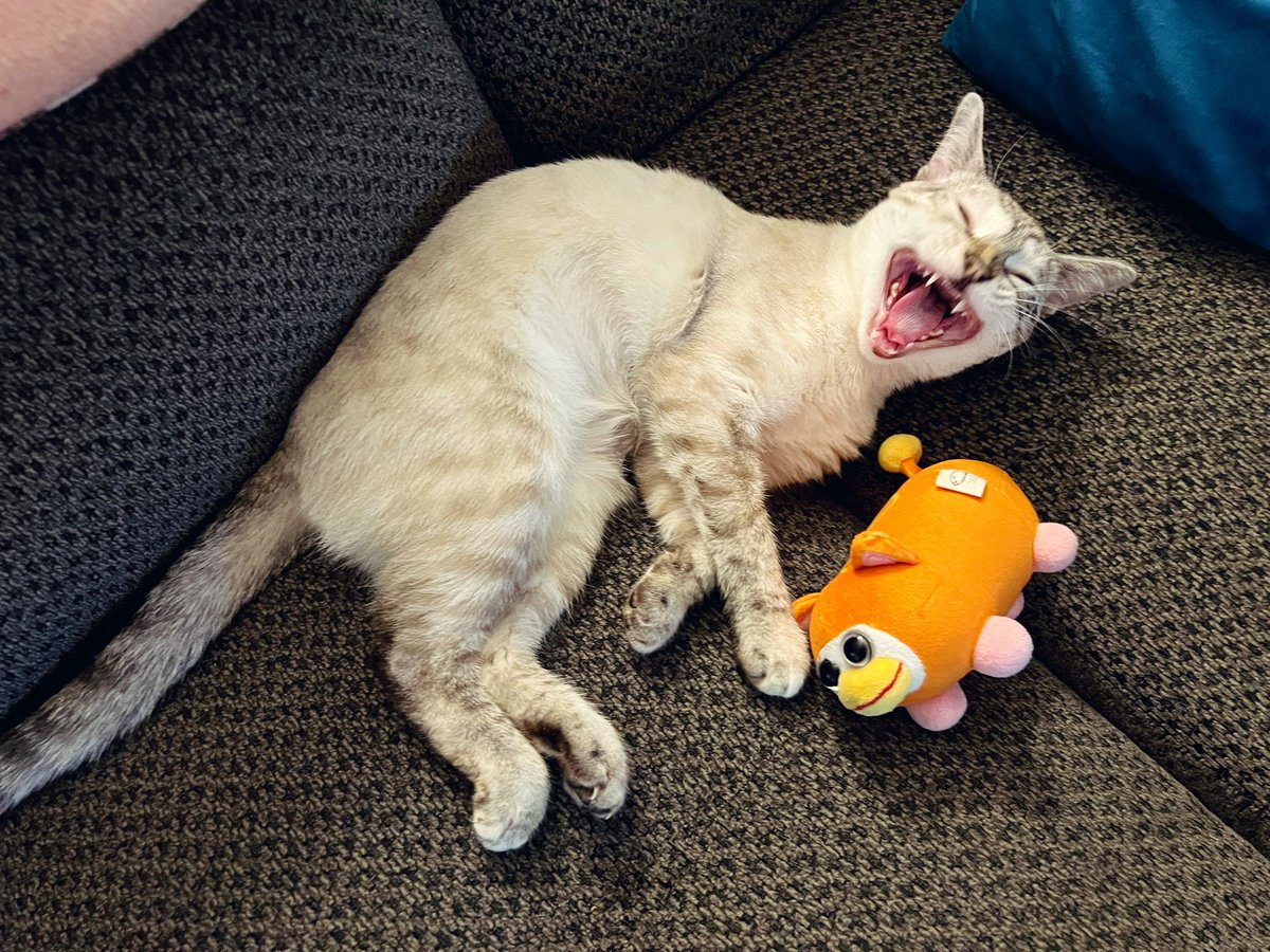 OodiGames's tweet photo. A Tuesday morning Bean-fest to brighten up your day! Now with 100% more Bean’s beans.

Still not dead in Rinzavier… yet. 👀 @Arkudel is trying! 

Dropped off the crew in the capable hands of @LittleMsBek — have a kick ass day, friends, &amp; I’ll catch ya again Thursday for Ep. 16+! https://t.co/AgpOLIS9It